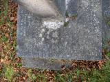 image of grave number 910555